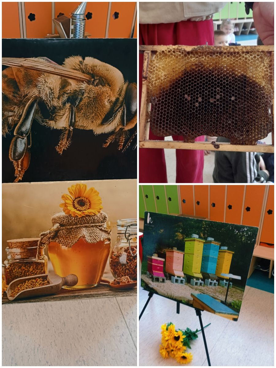 Warsztaty pszczelarskie „Pszczoły – nasi mali przyjaciele” w Jedyneczce