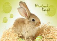 Wielkanoc_2014